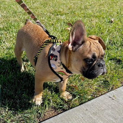Jurassic Bark Reversible Harness Pawmigo