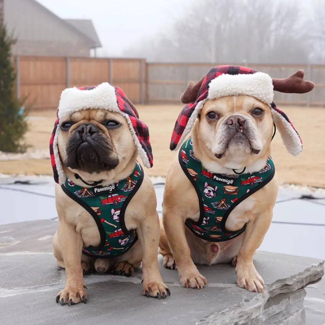 Lumbersnack Reversible Harness Pawmigo