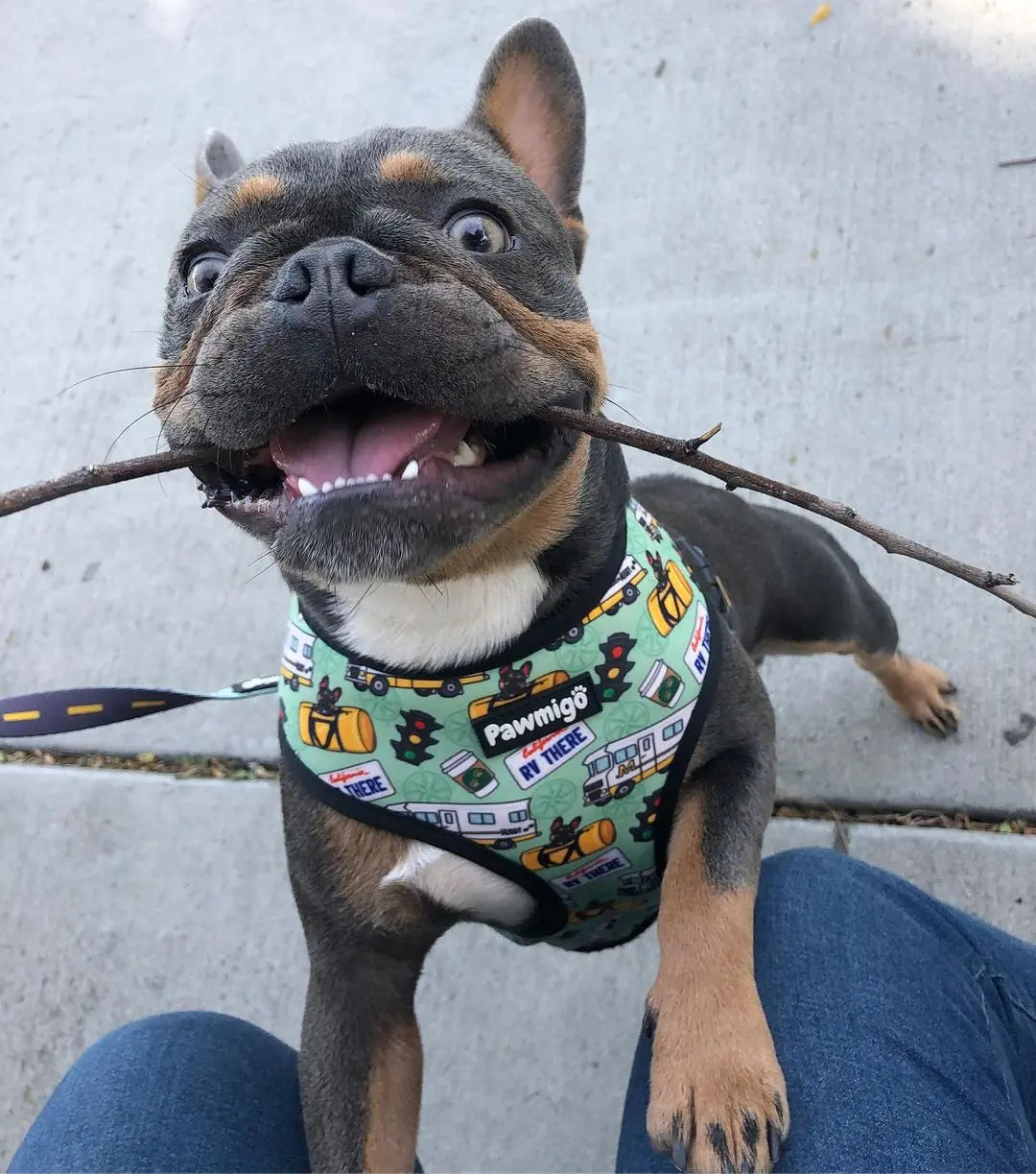 Muddy Paws Reversible Harness Pawmigo