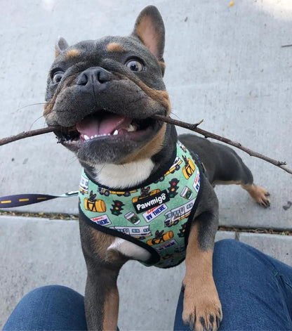 Muddy Paws Reversible Harness Pawmigo