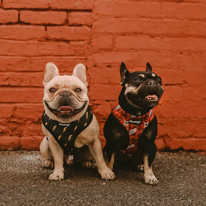 Pawgwarts Reversible Harness Pawmigo