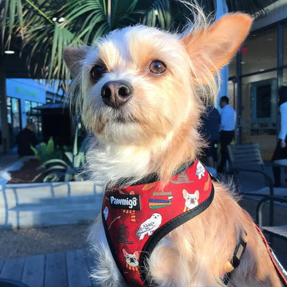 Pawgwarts Reversible Harness Pawmigo