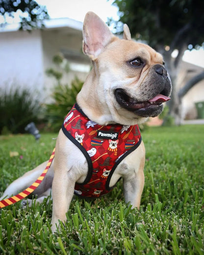 Pawgwarts Reversible Harness Pawmigo
