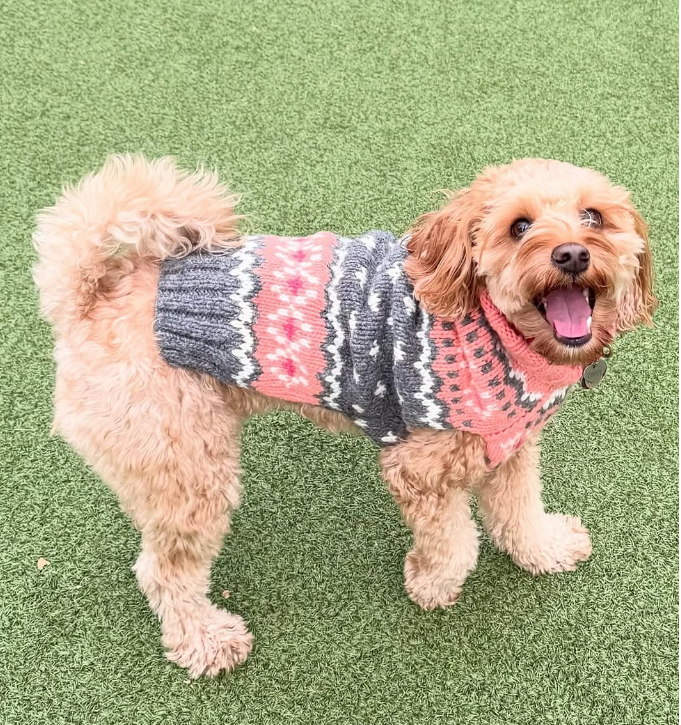 Peach Fairisle Dog Sweater