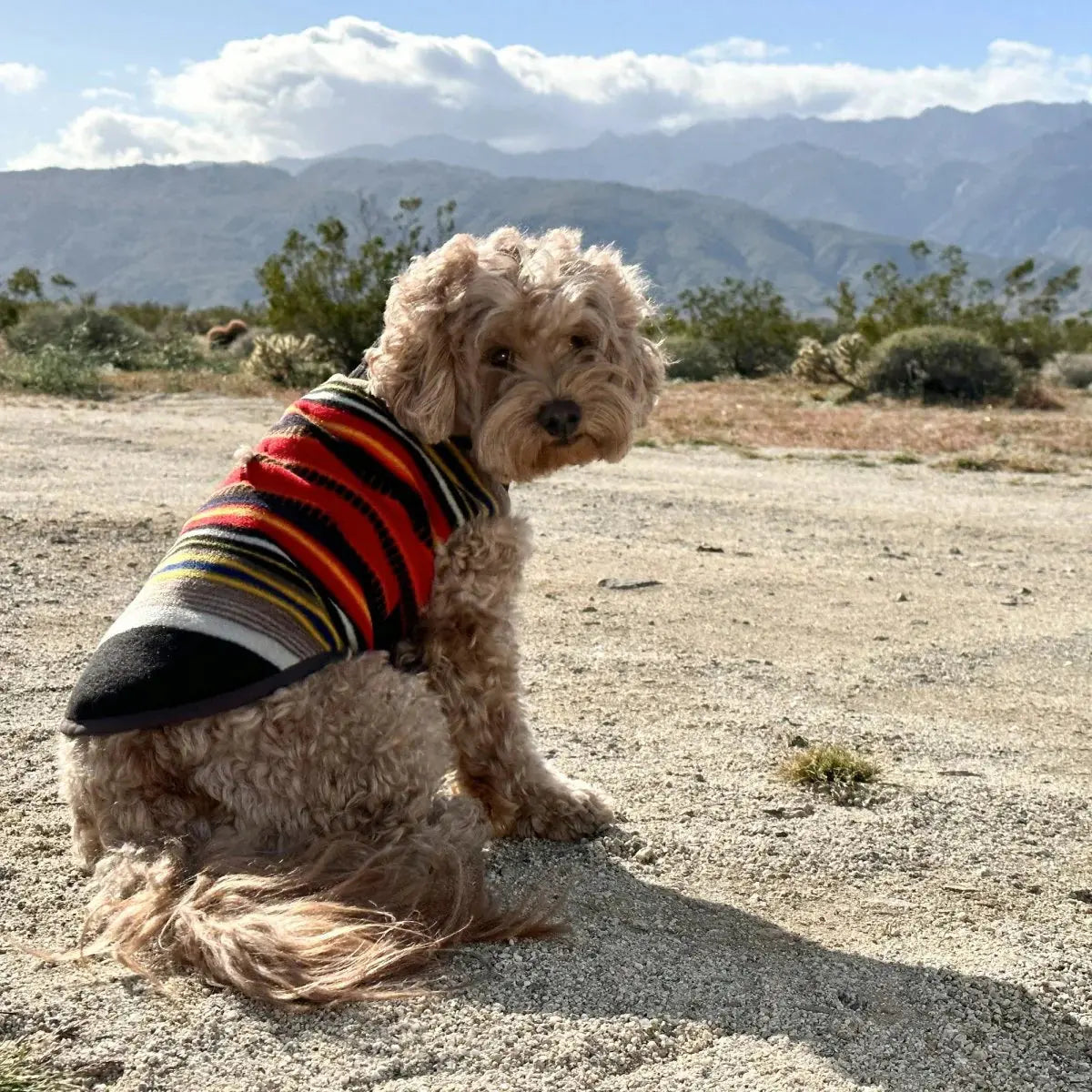Pendleton National Park Dog Vest-K9 Outdoors