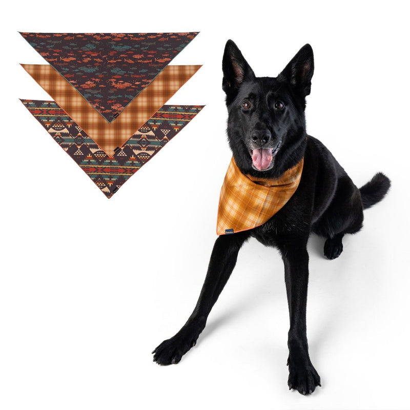 Pendleton Dog Bandana Multipack