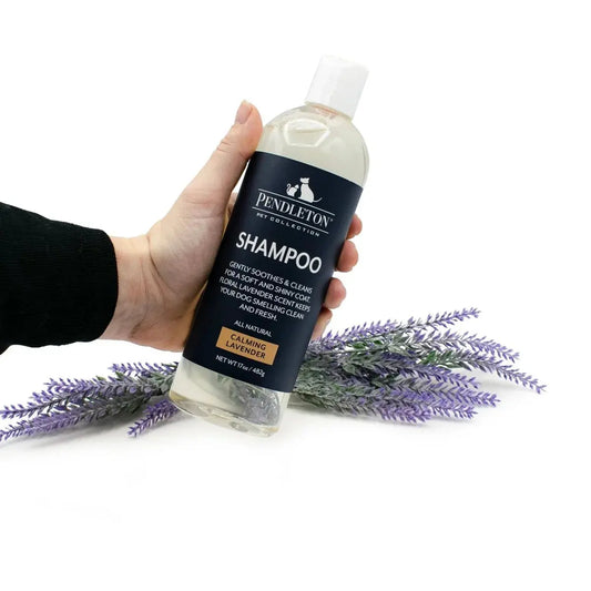 Pendleton Pet Shampoo-K9 Outdoors