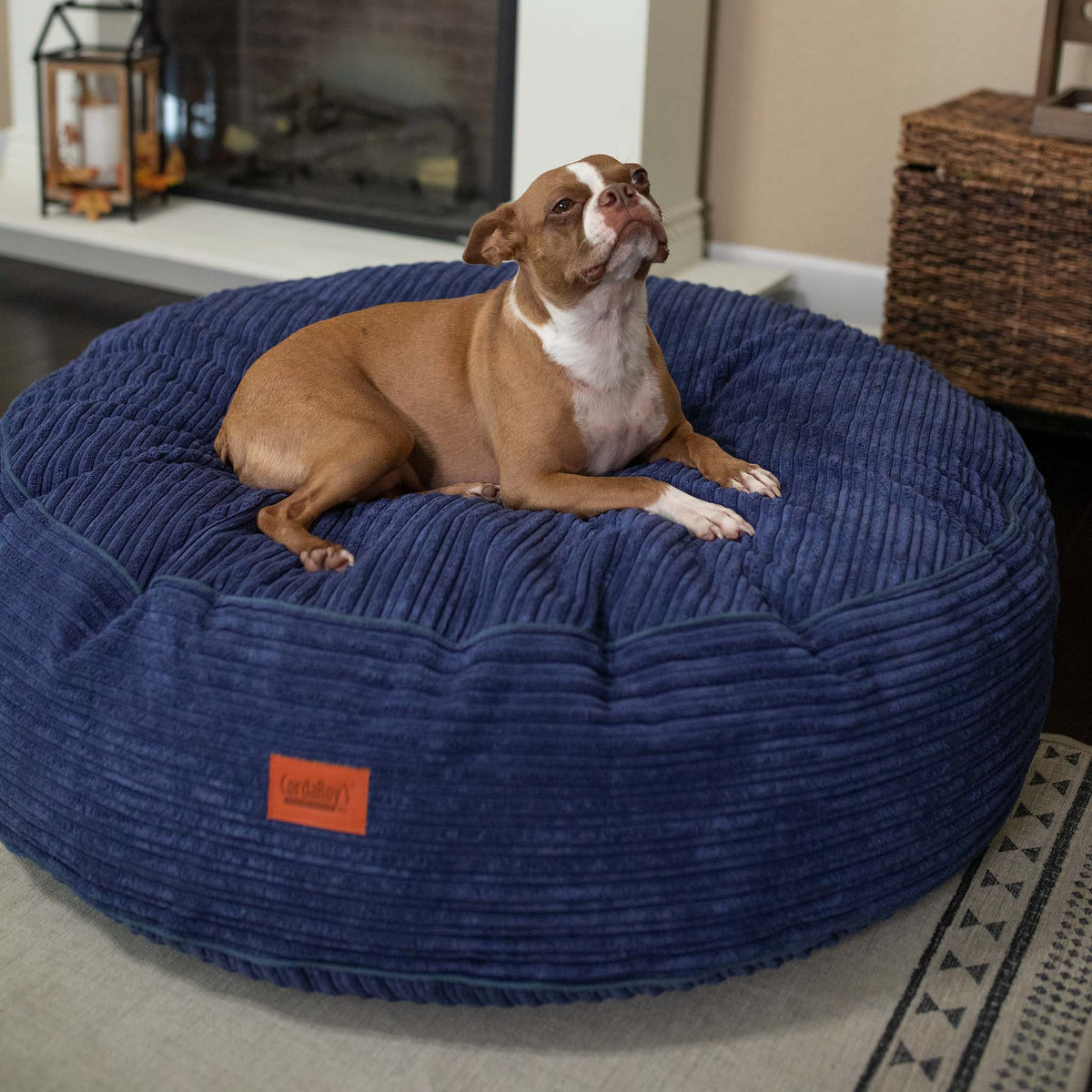 50 Inch Forever Dog Bed (Waterproof) - Terry Corduroy