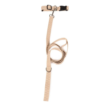 Checkered Wave Leash Carolina Pet Company