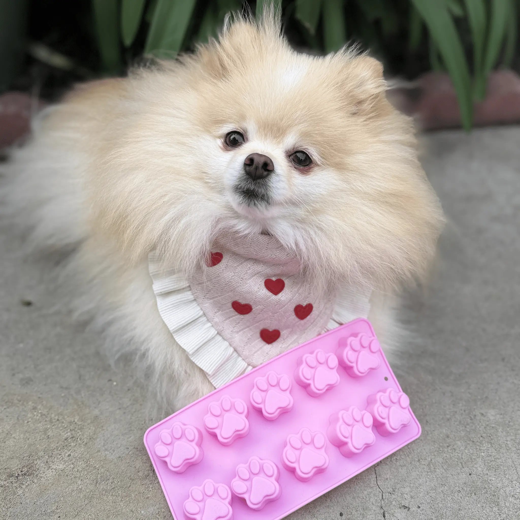 Pet Treat Molds Farm To Pet