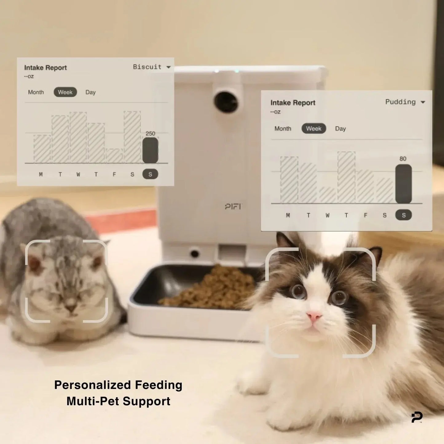 All-in-One Smart Pet Feeder - K9 Outdoors