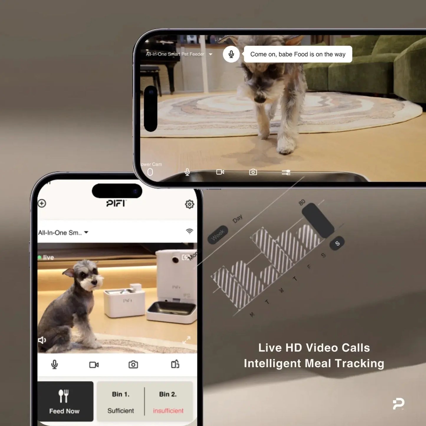 All-in-One Smart Pet Feeder - K9 Outdoors