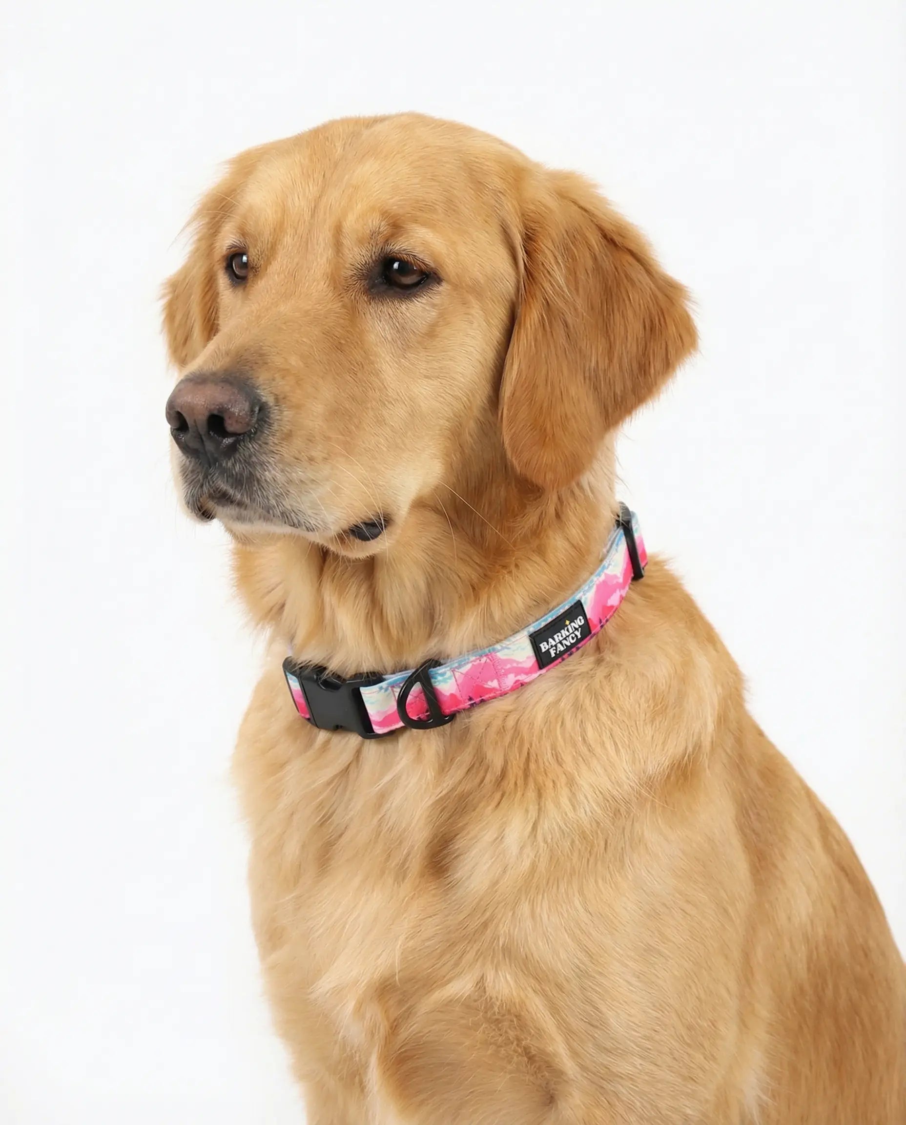 Mountainscape Adjustable Dog Collar - Pink Barking Fancy