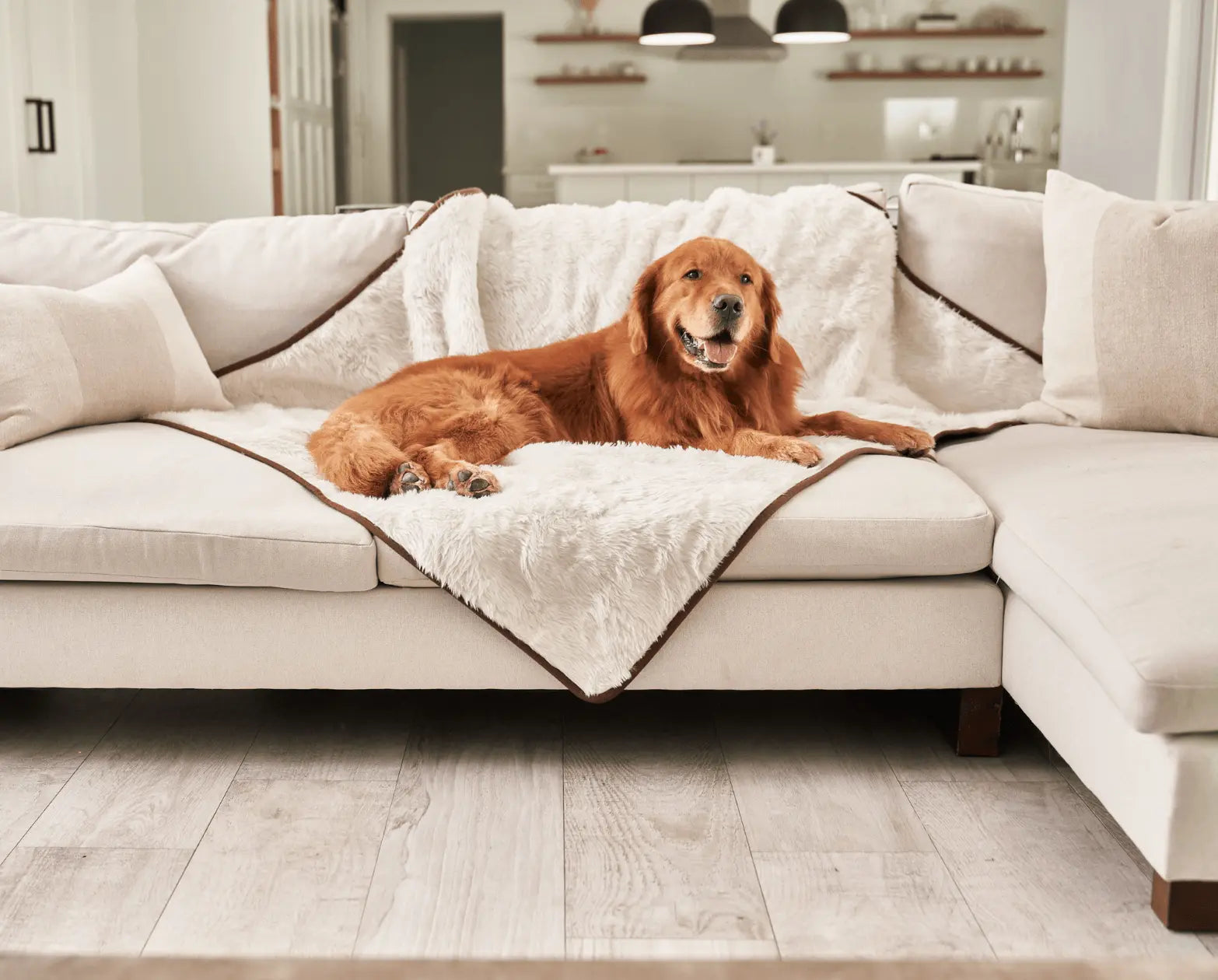 PupProtector™ Summer Short Fur Waterproof Throw Blanket - Polar White Paw.com