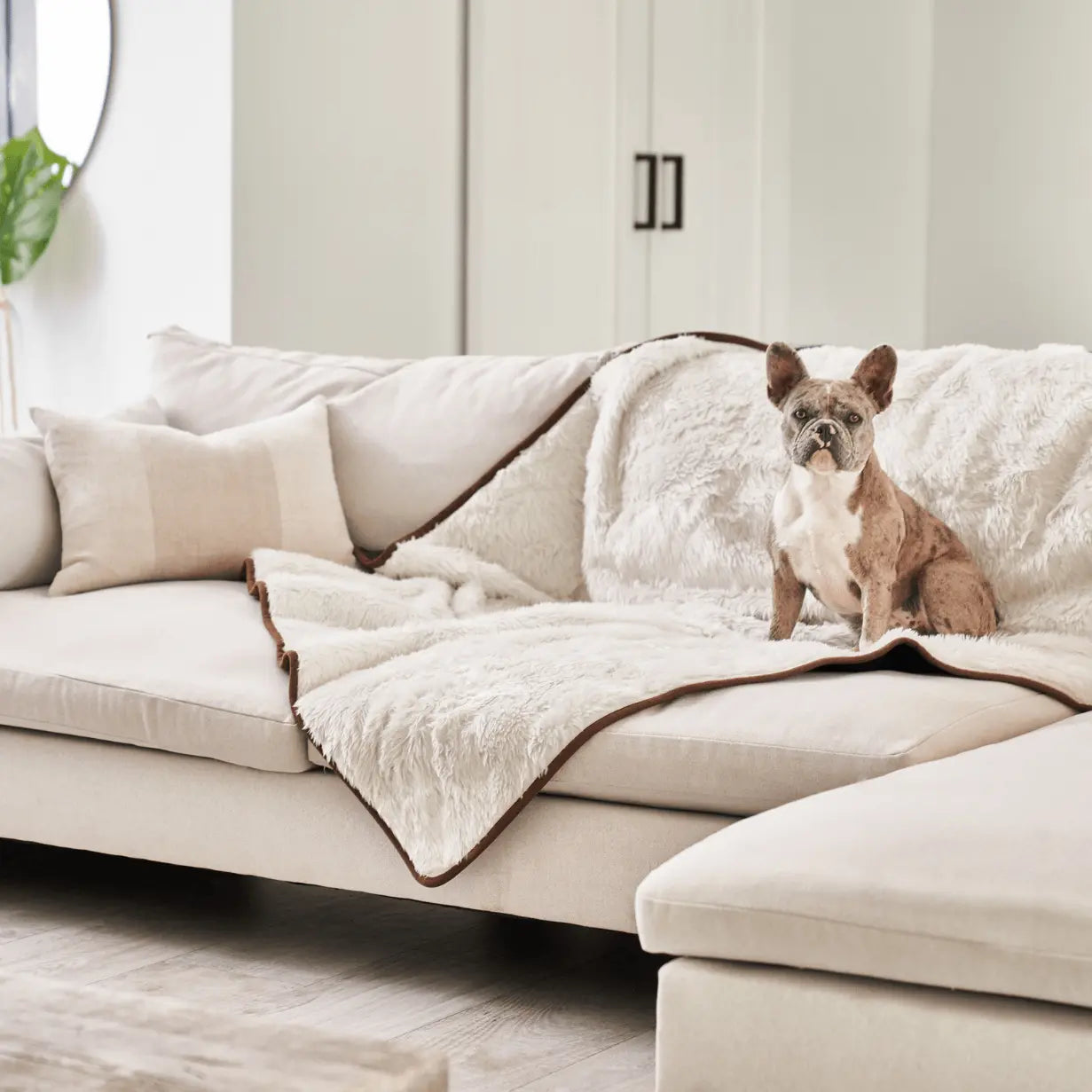 PupProtector™ Summer Short Fur Waterproof Throw Blanket - Polar White Paw.com