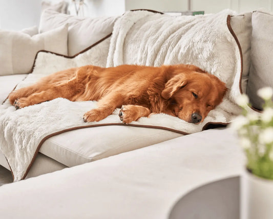 PupProtector™ Summer Short Fur Waterproof Throw Blanket - Polar White Paw.com
