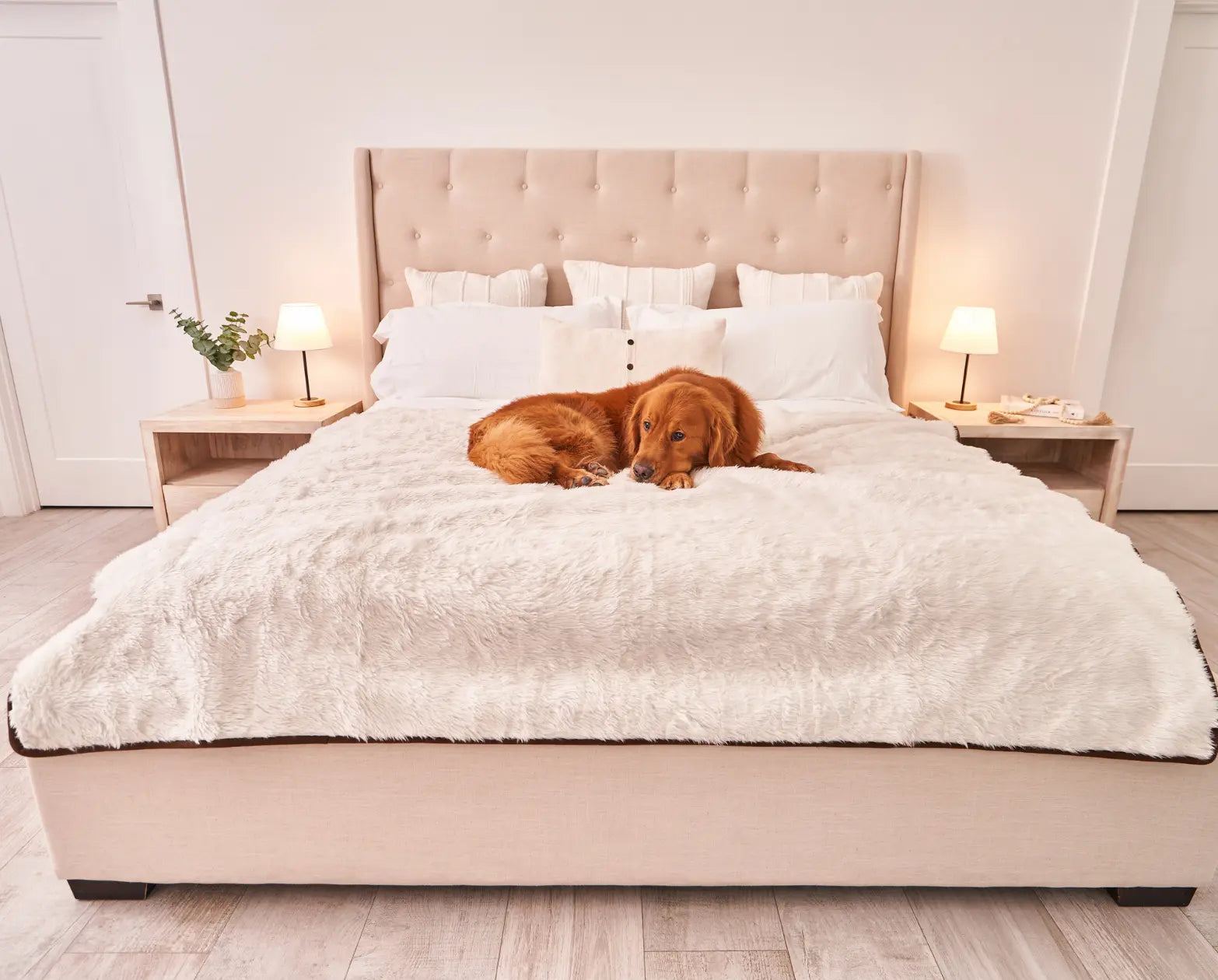 PupProtector™ Summer Short Fur Waterproof Throw Blanket - Polar White Paw.com