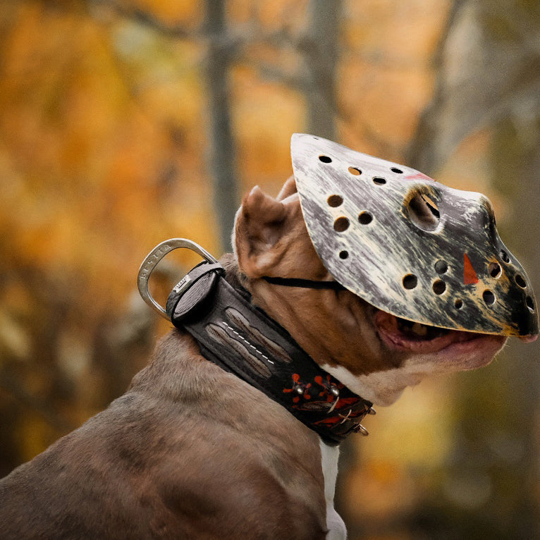 Bestia Haunted Leather Dog Collar – Limited Edition