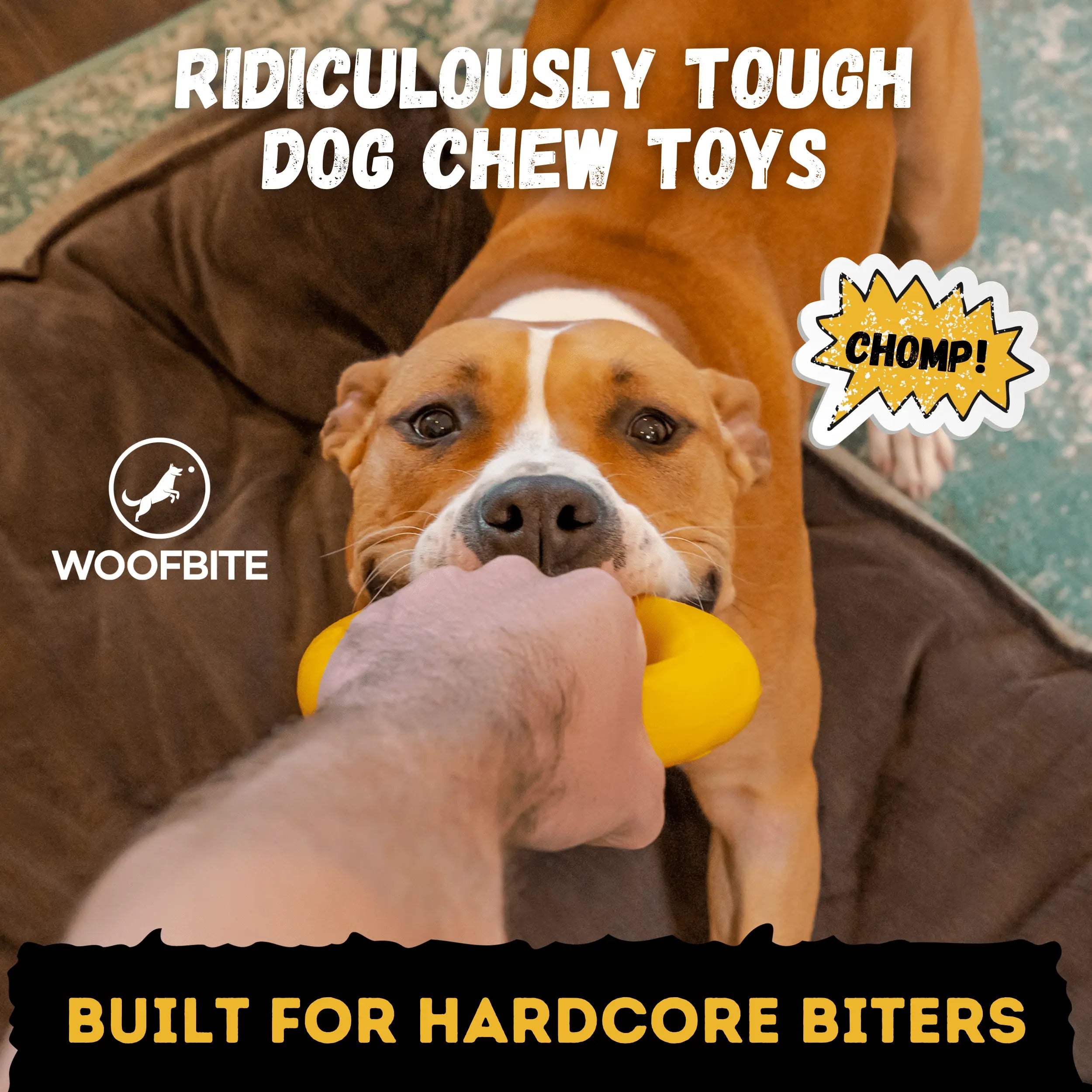 Power Ring Monster K9 Dog Toys