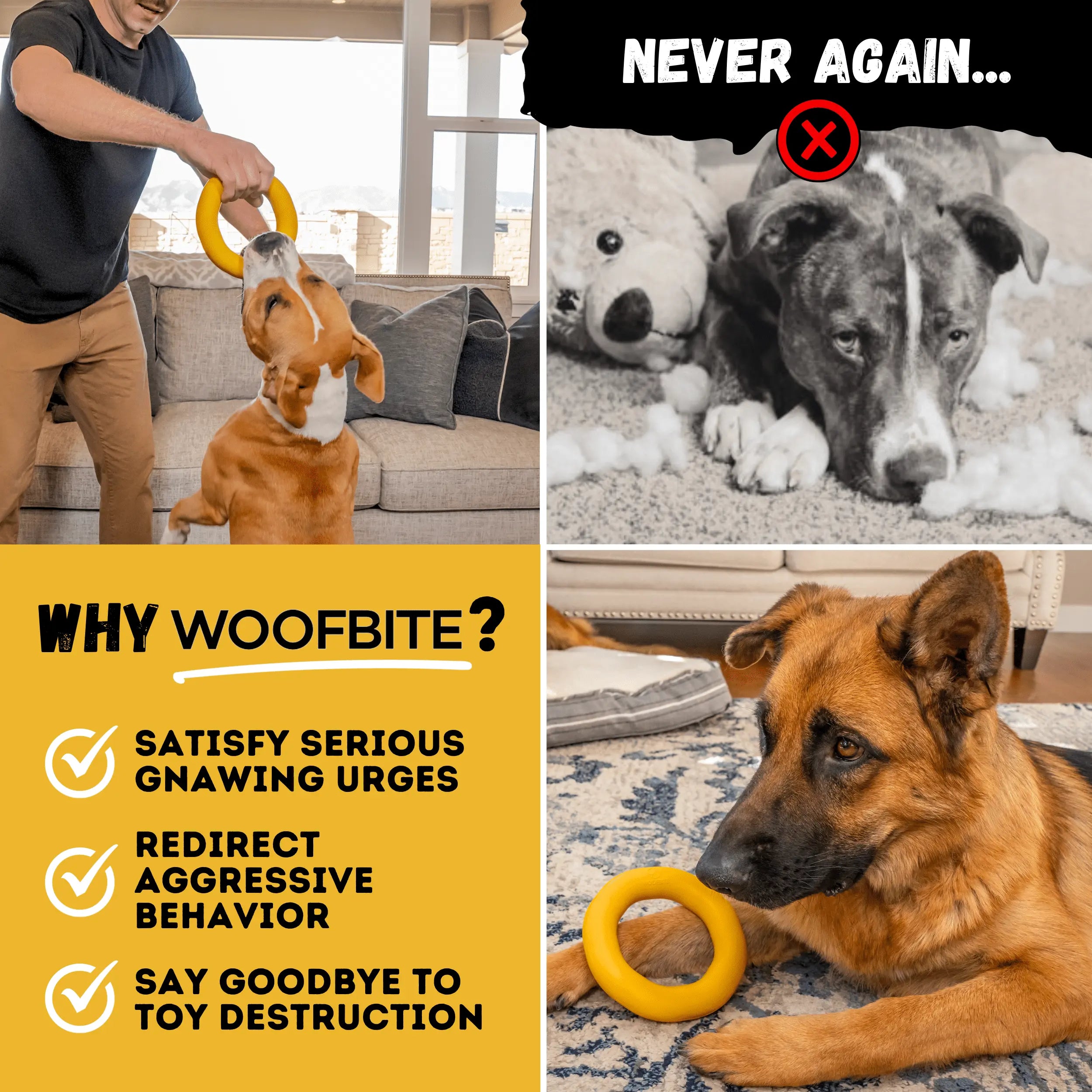 Power Ring Monster K9 Dog Toys