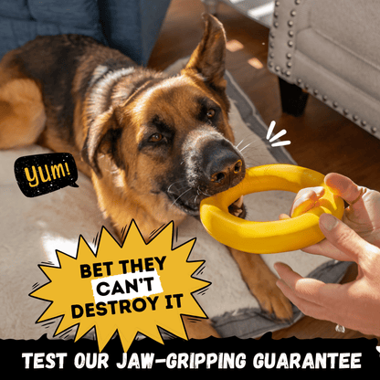 Power Ring Monster K9 Dog Toys