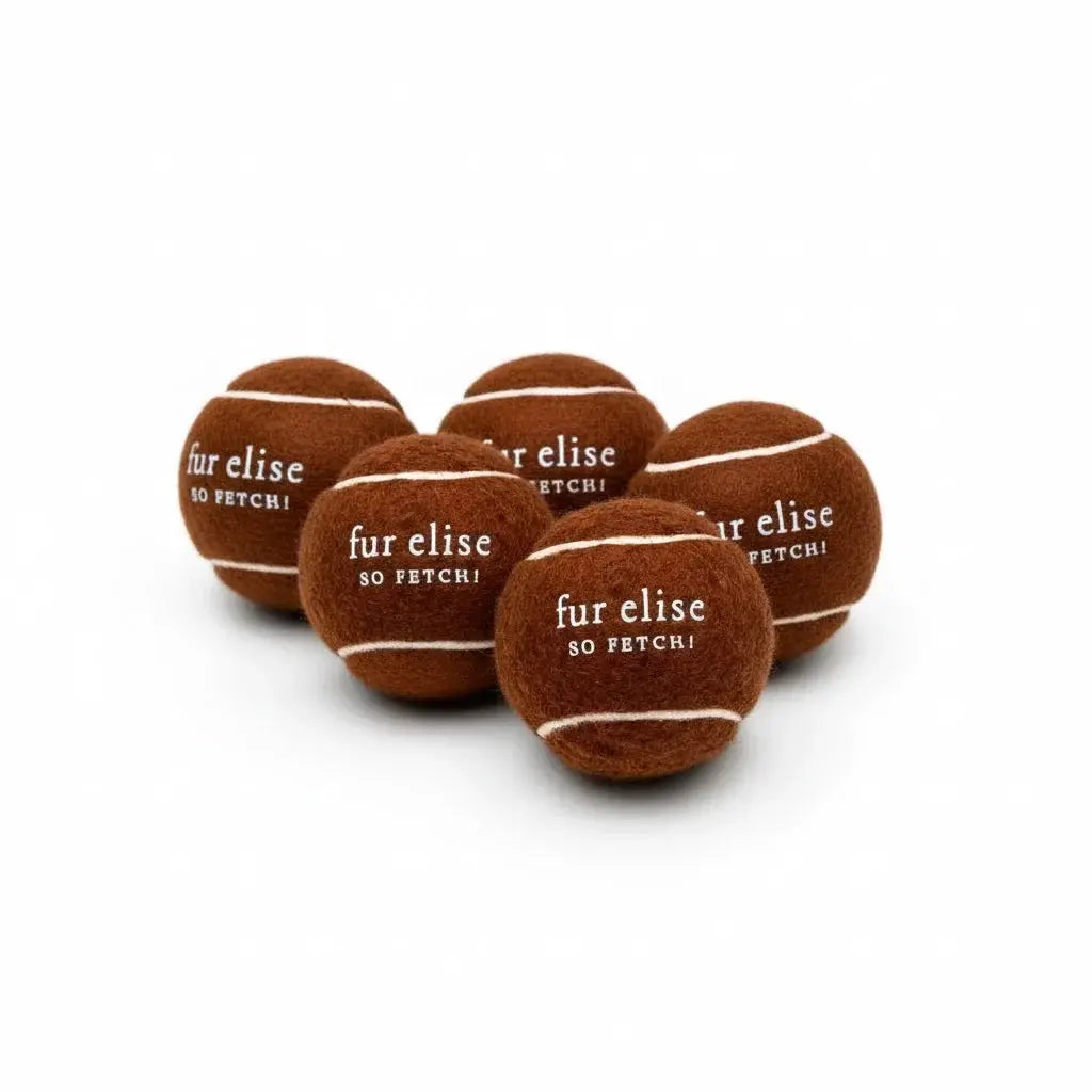 So Fetch! Tennis Ball Pack of 5 - Brune - K9 Outdoors