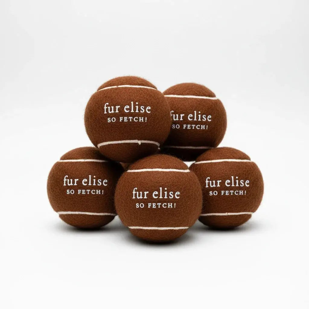So Fetch! Tennis Ball Pack of 5 - Brune - K9 Outdoors