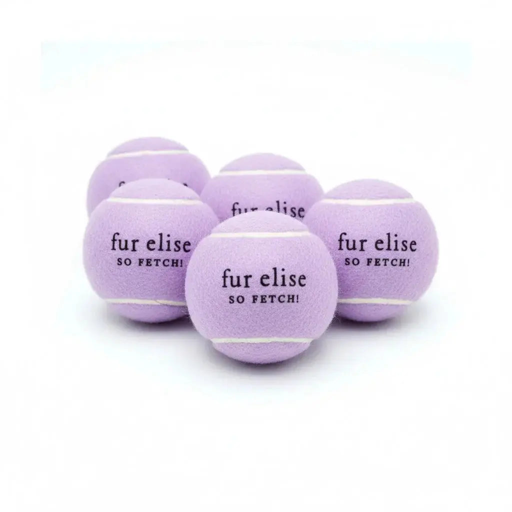 So Fetch! Tennis Ball Pack of 5 - Lilac - K9 Outdoors