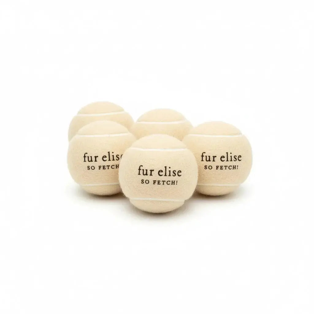 So Fetch! Tennis Ball Pack of 5 - Latte - K9 Outdoors