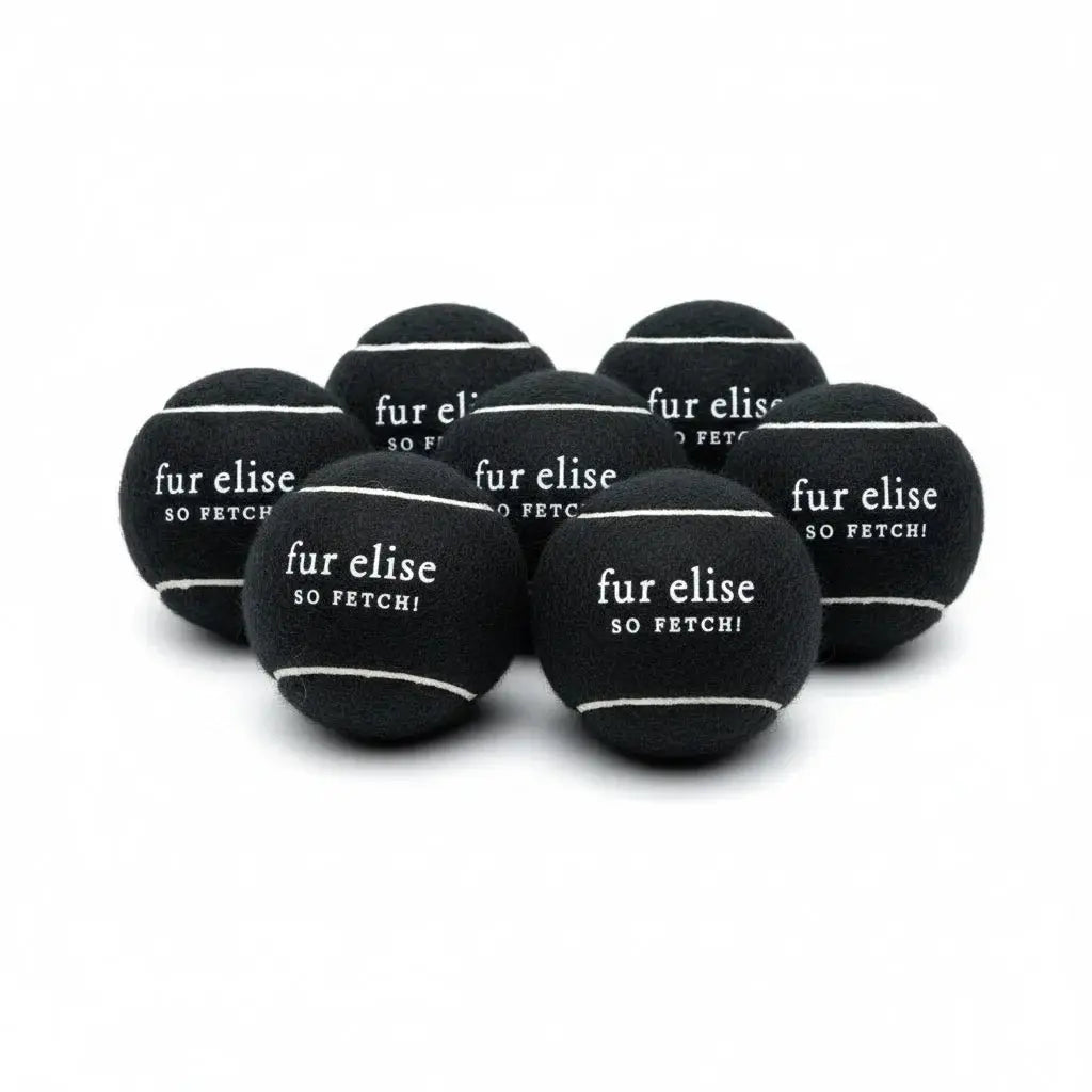 Fur Elise So Fetch! Tennis Ball Pack of 7 - Noire