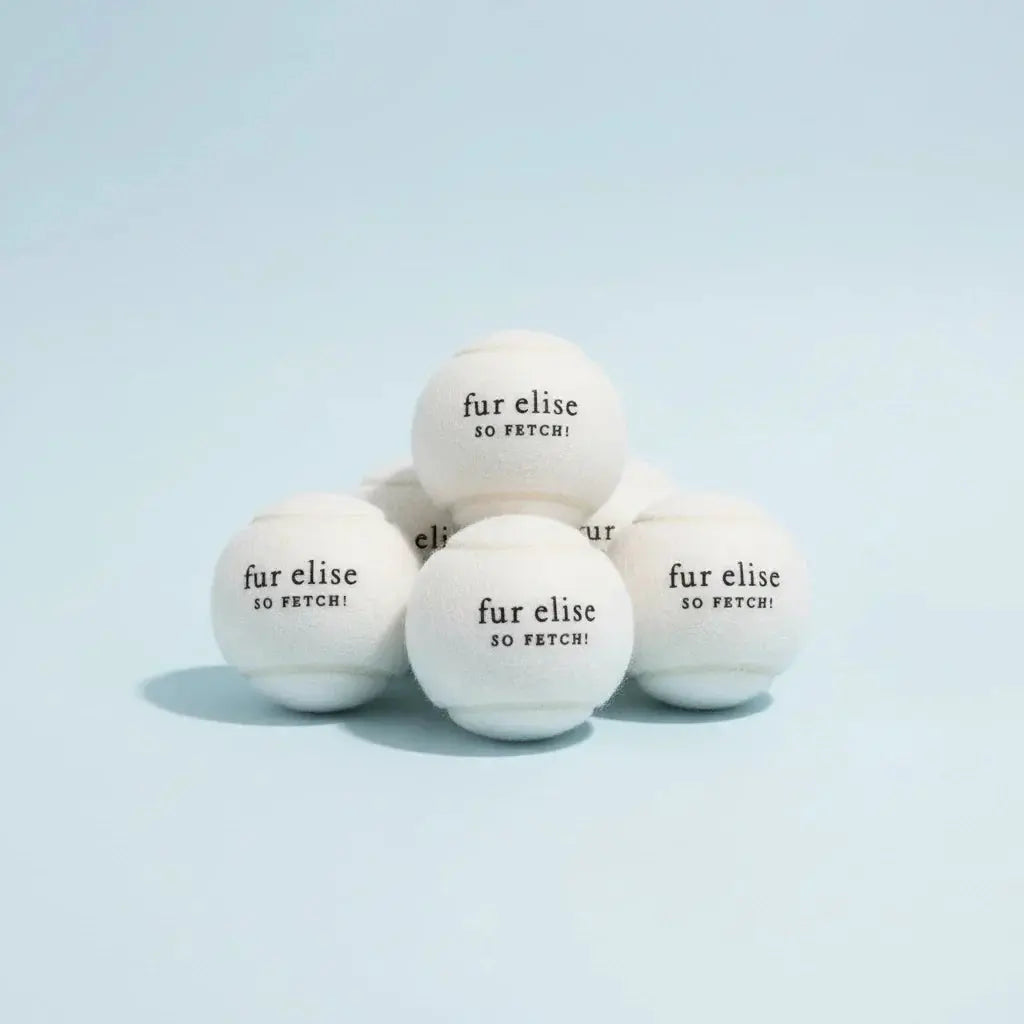 Fur Elise So Fetch! Tennis Ball Pack of 5 - Ivory