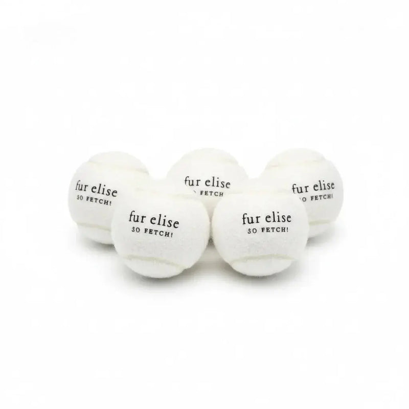So Fetch! Tennis Ball Pack of 5 - Ivory
