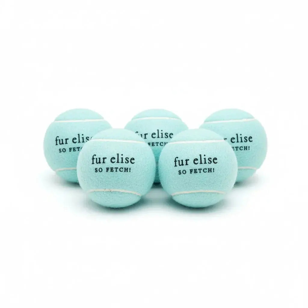 So Fetch! Tennis Ball Pack of 5 - Cloud