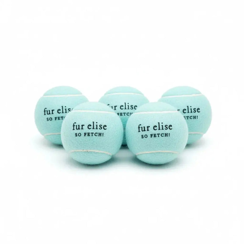 So Fetch! Tennis Ball Pack of 5 - Cloud