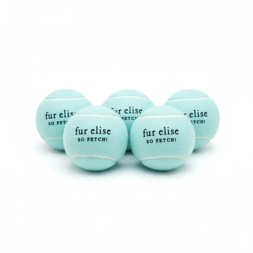 So Fetch! Tennis Ball Pack of 5 - Cloud