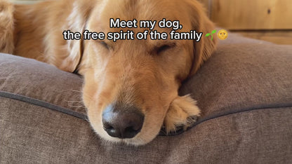 GreenDog Luxe Neutral Napper