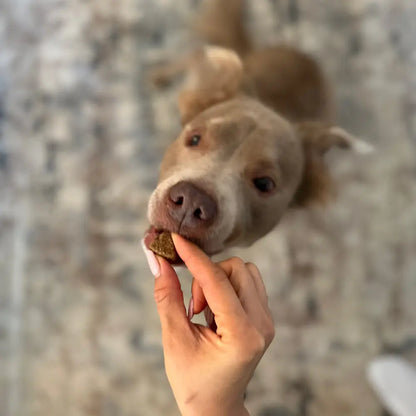 Hip & Joint Chews (90 Chews) Freezbone