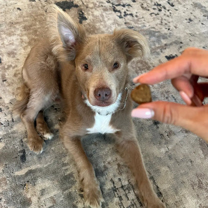 Probiotic Chews (90 Chews) Freezbone