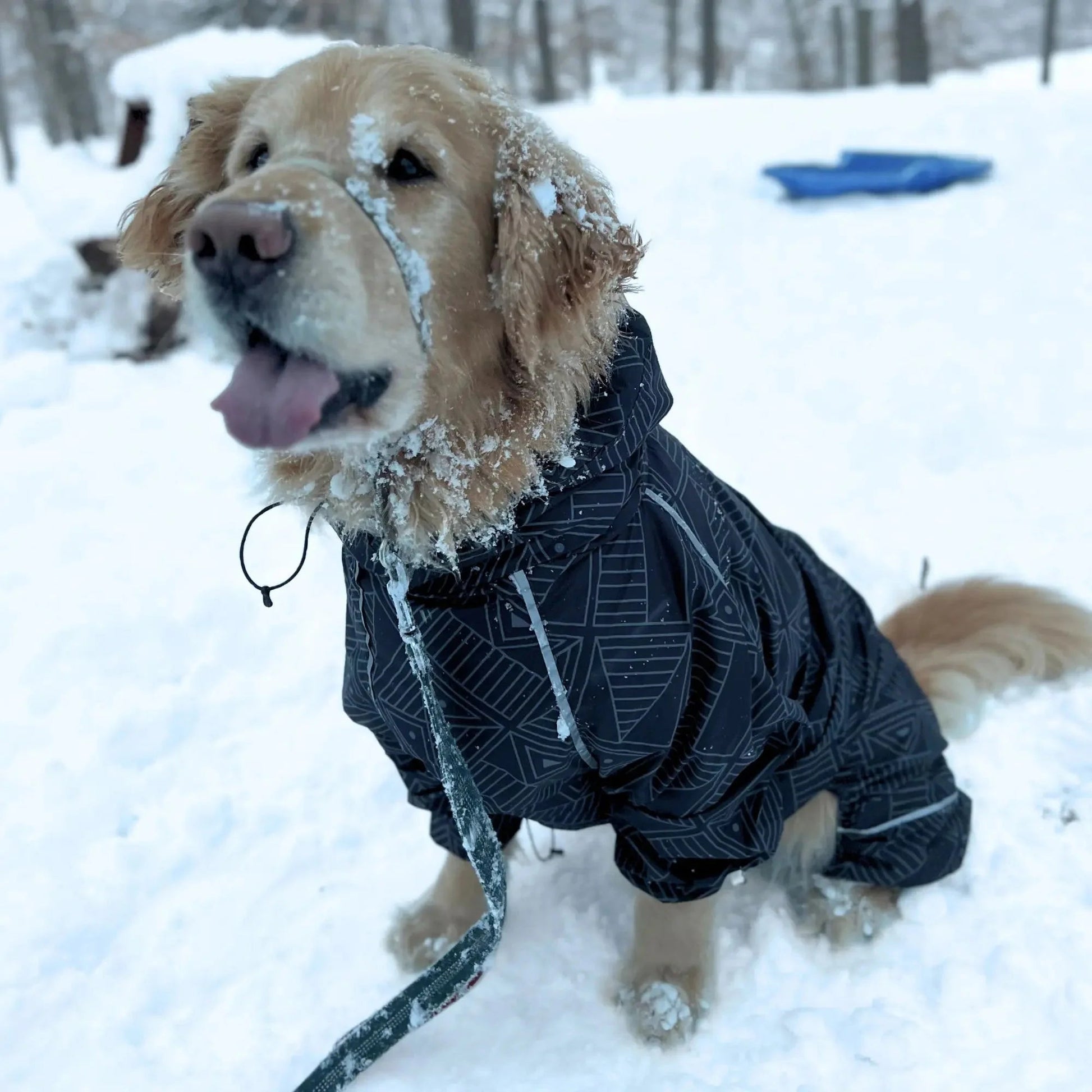 Puddle Jumper Dog Raincoats WOOFESSENTIAL
