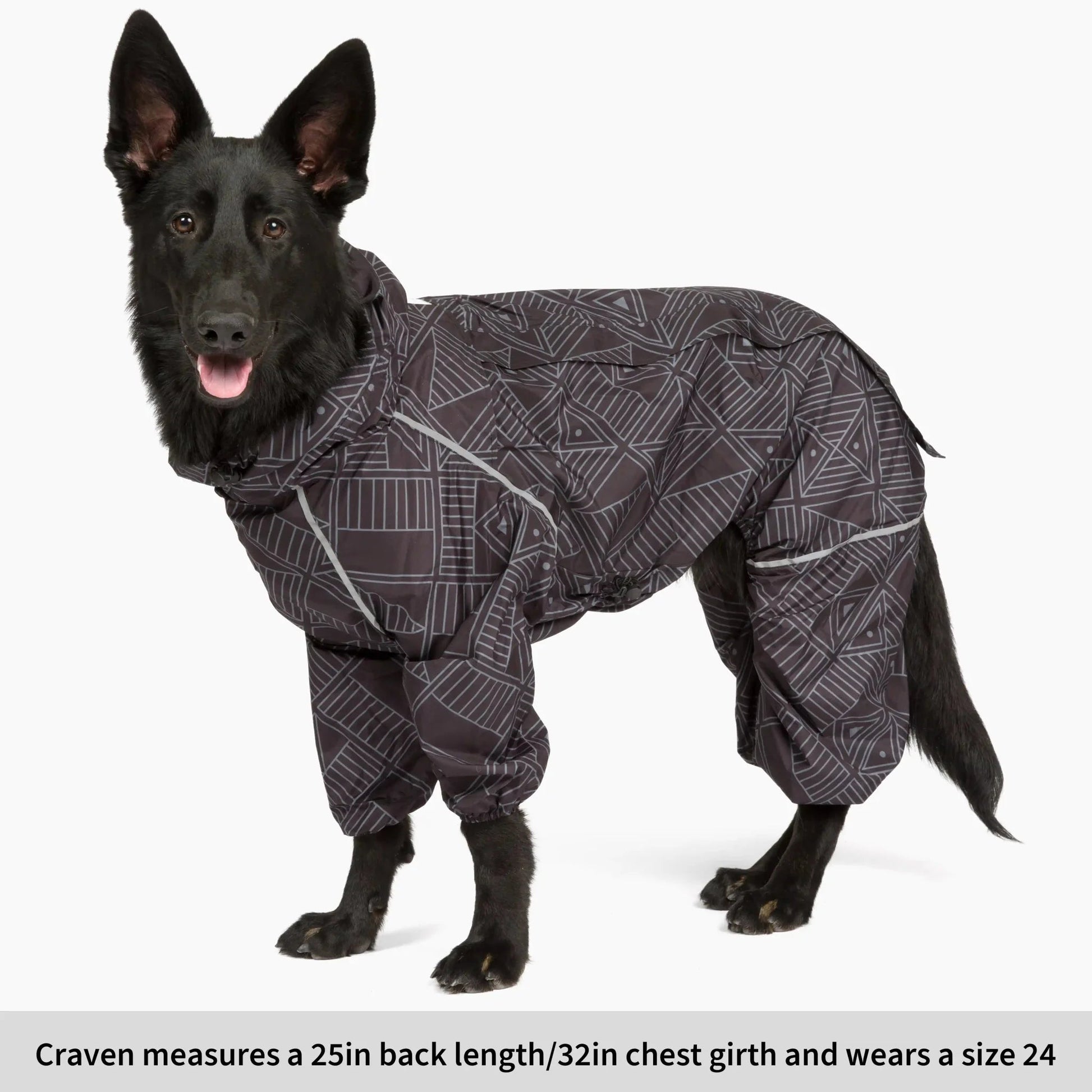Puddle Jumper Dog Raincoats WOOFESSENTIAL
