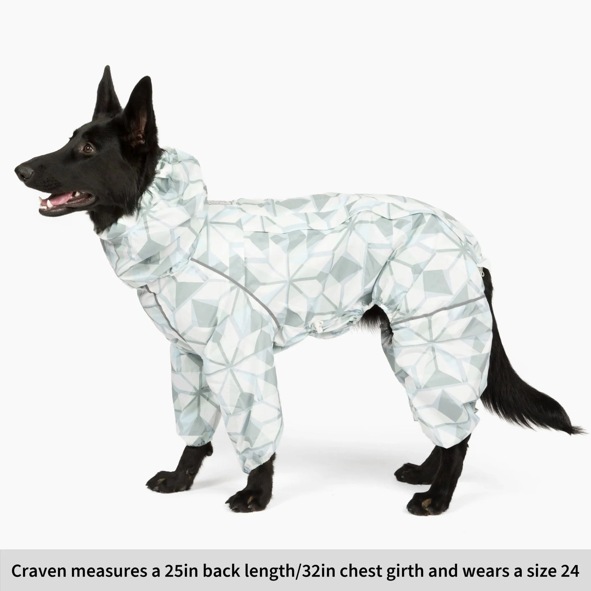 Puddle Jumper Dog Raincoats WOOFESSENTIAL