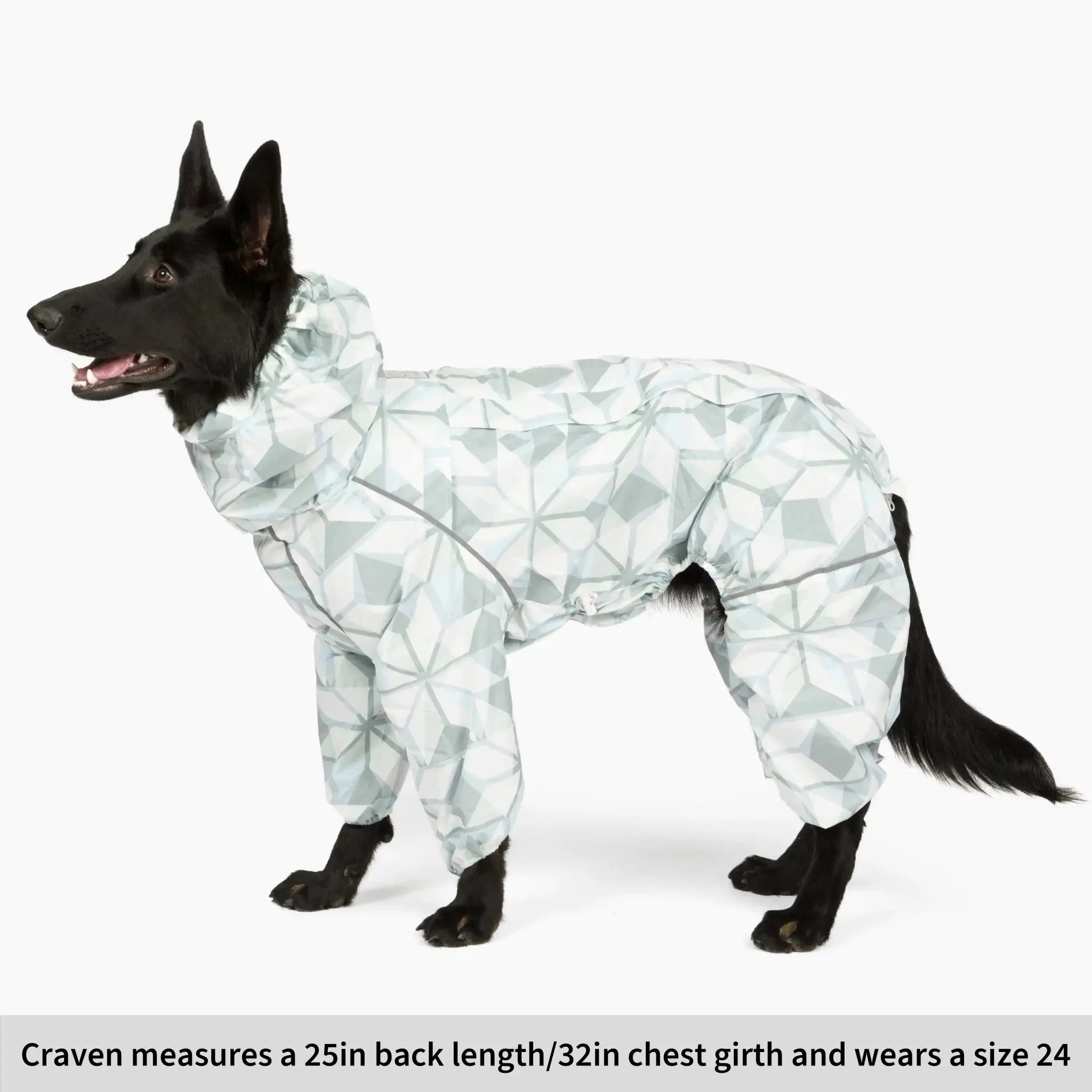 Puddle Jumper Dog Raincoats WOOFESSENTIAL