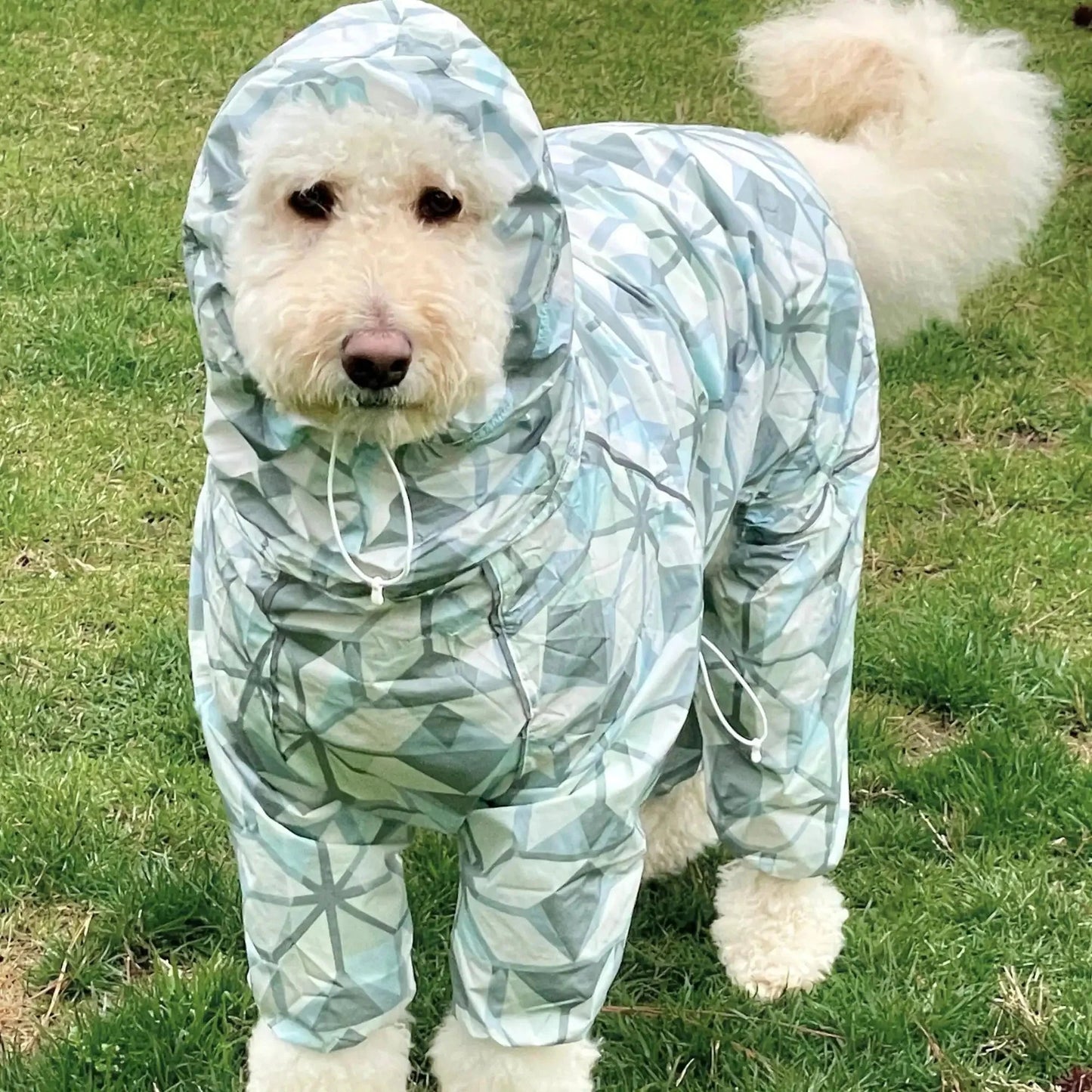 Puddle Jumper Dog Raincoats WOOFESSENTIAL