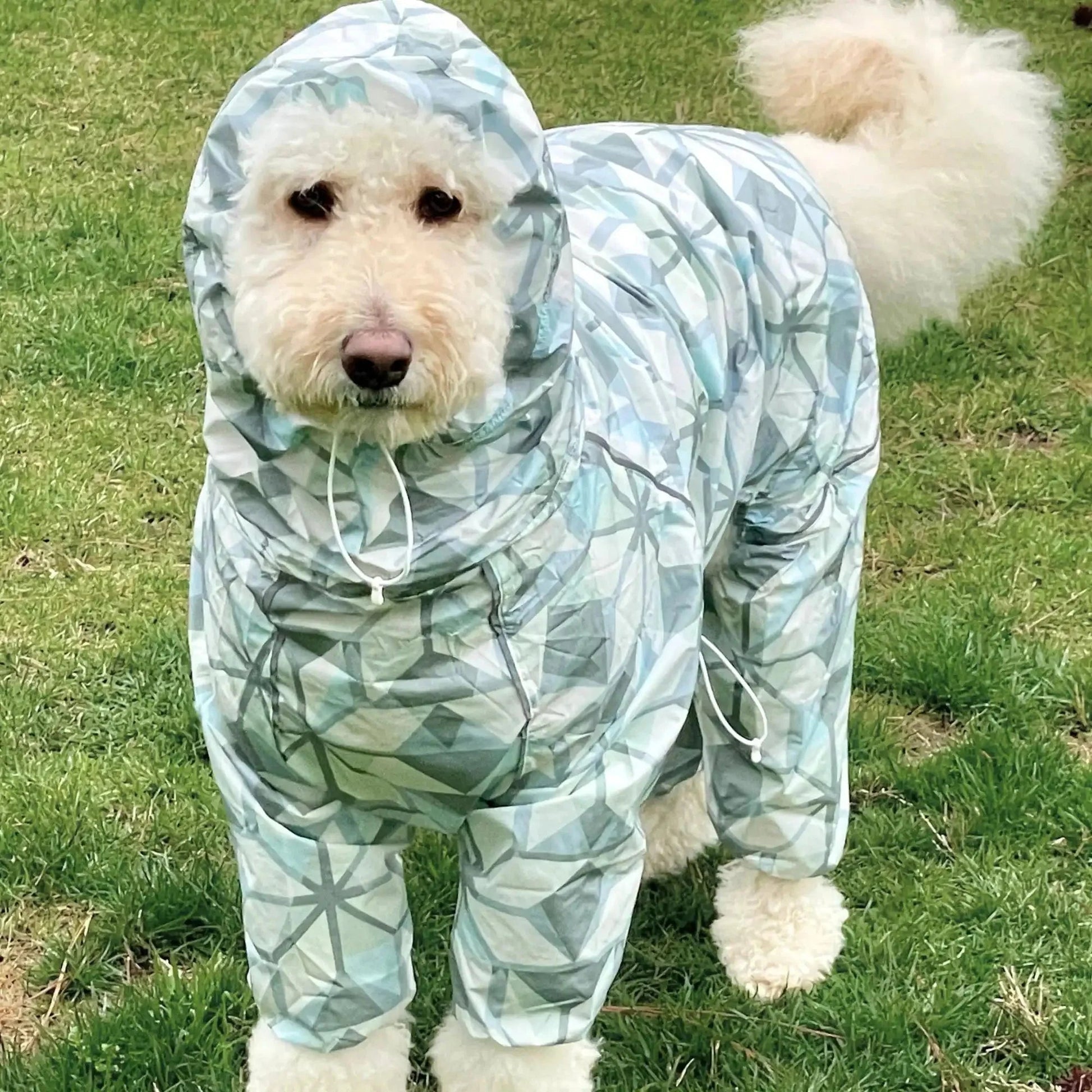 Puddle Jumper Dog Raincoats WOOFESSENTIAL