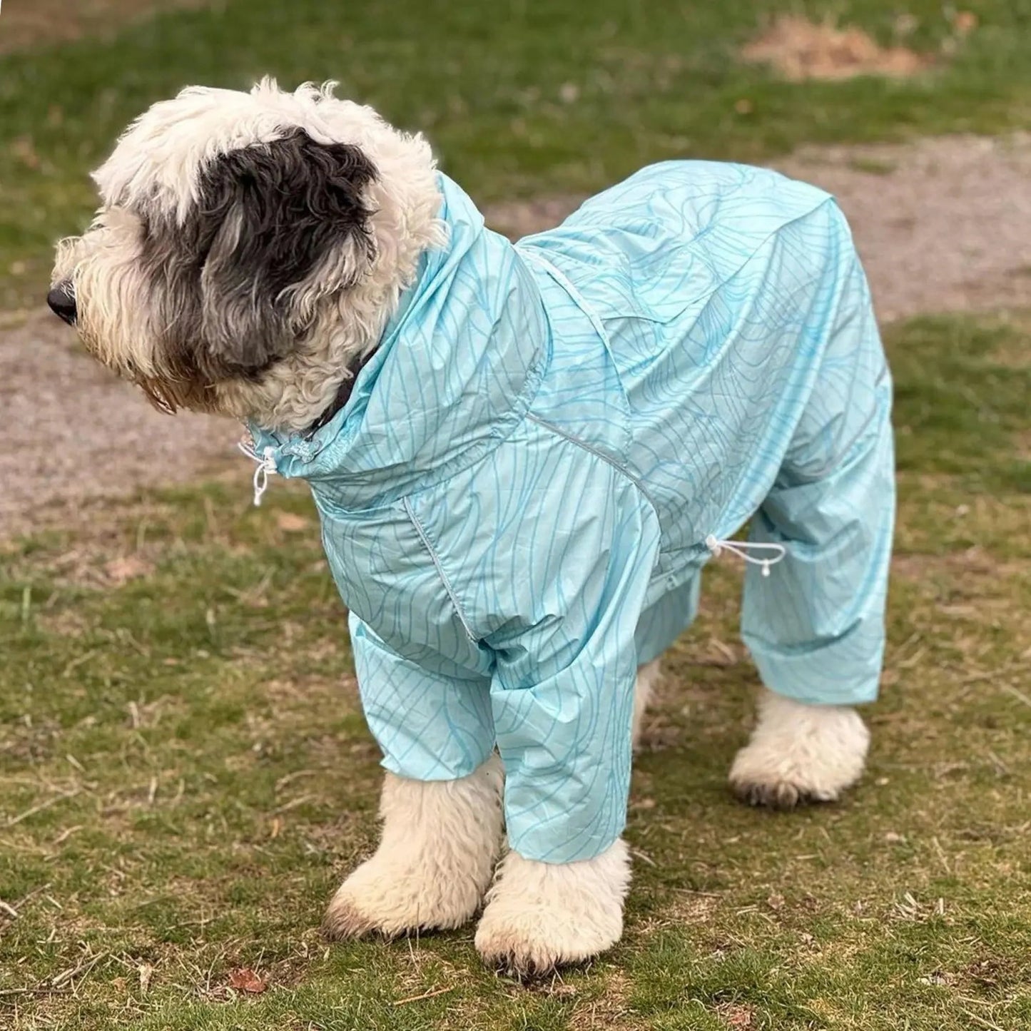 Puddle Jumper Dog Raincoats WOOFESSENTIAL