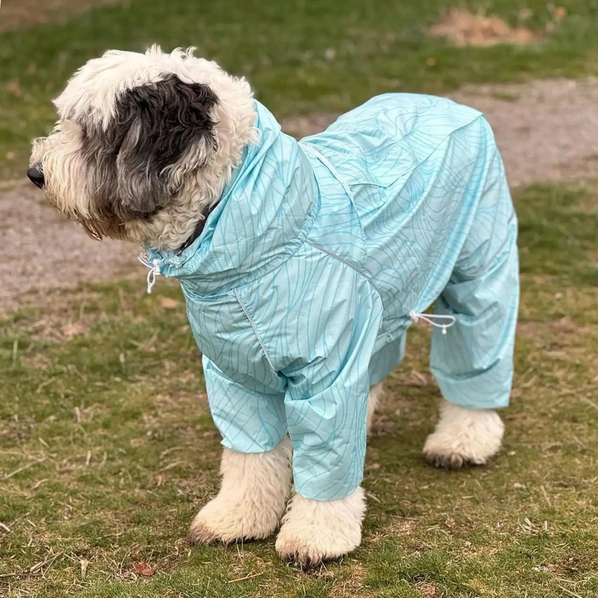 Puddle Jumper Dog Raincoats WOOFESSENTIAL