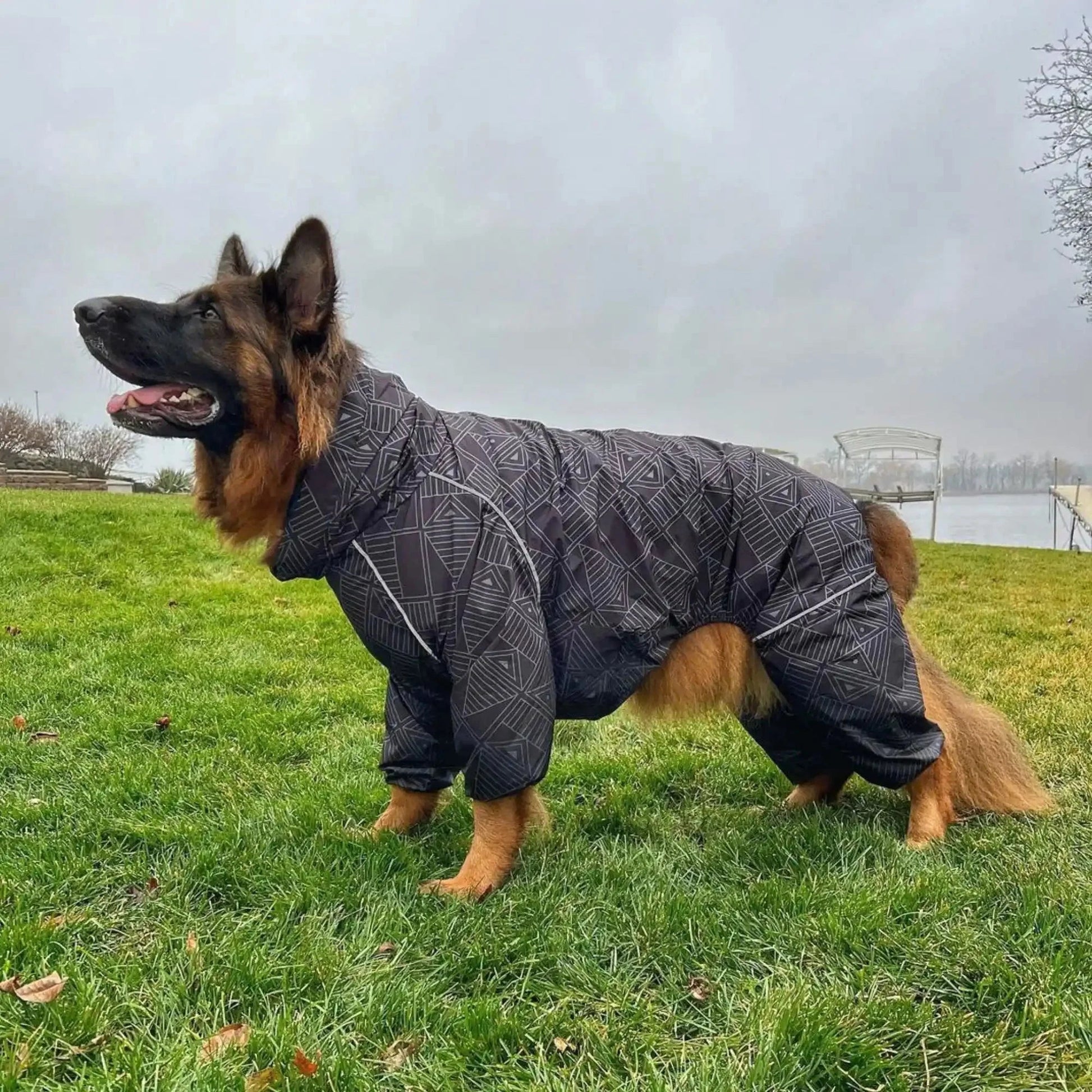 Puddle Jumper Dog Raincoats WOOFESSENTIAL