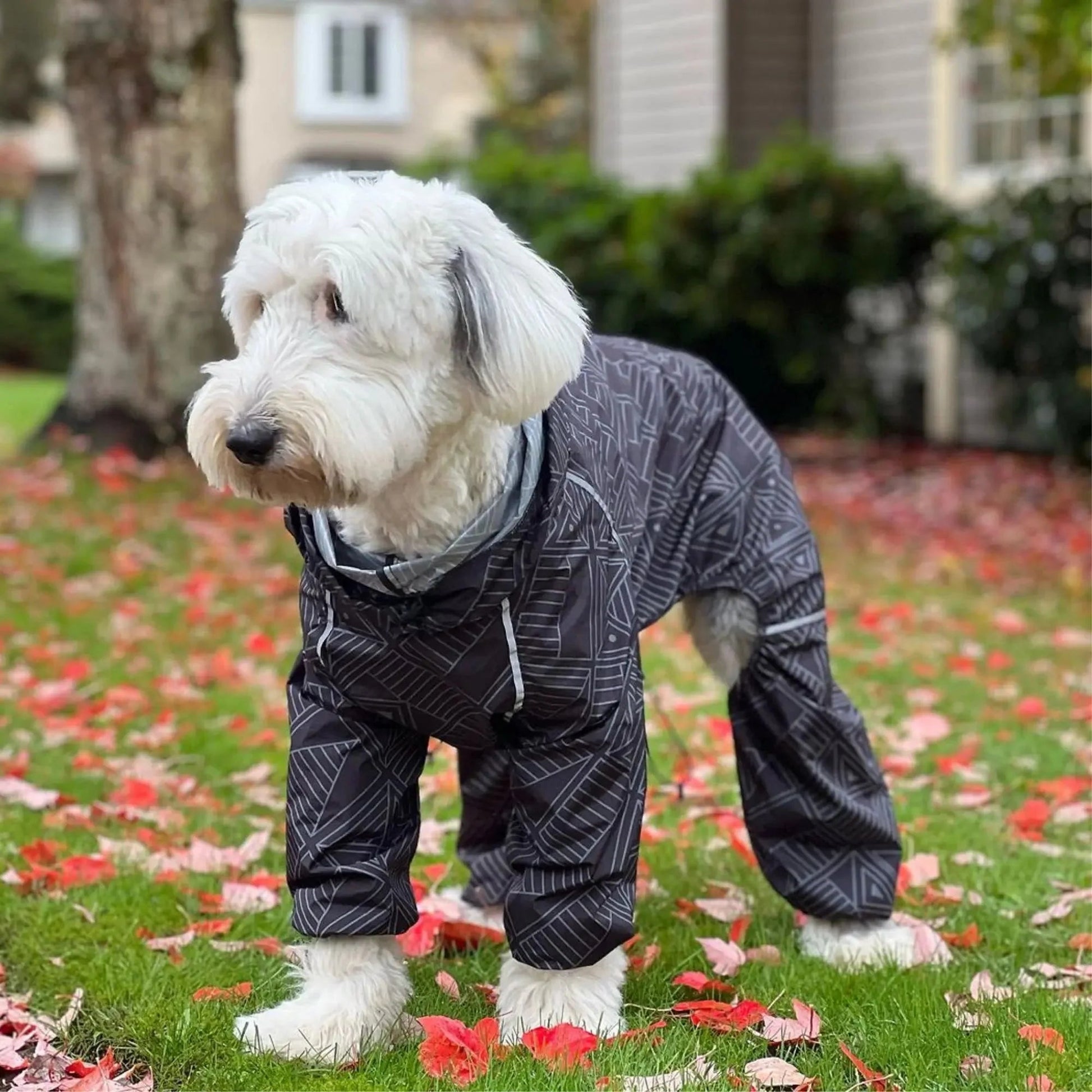 Puddle Jumper Dog Raincoats WOOFESSENTIAL