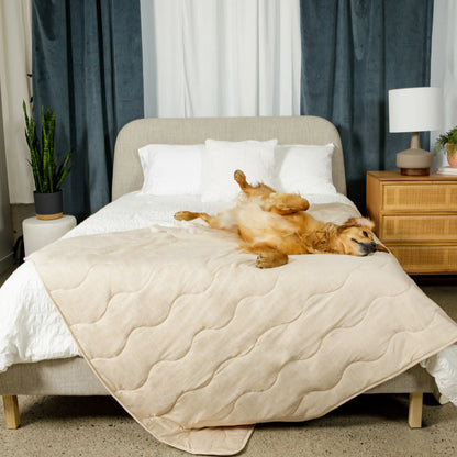 PupChill™ Cooling Waterproof Blanket - Arctic Sand Paw.com
