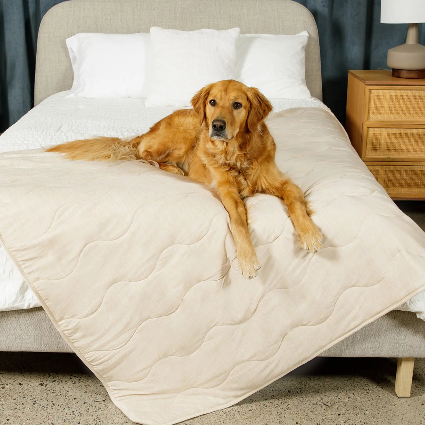 PupChill™ Cooling Waterproof Blanket - Arctic Sand Paw.com